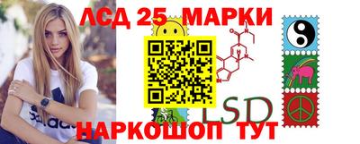 гашик Малгобек