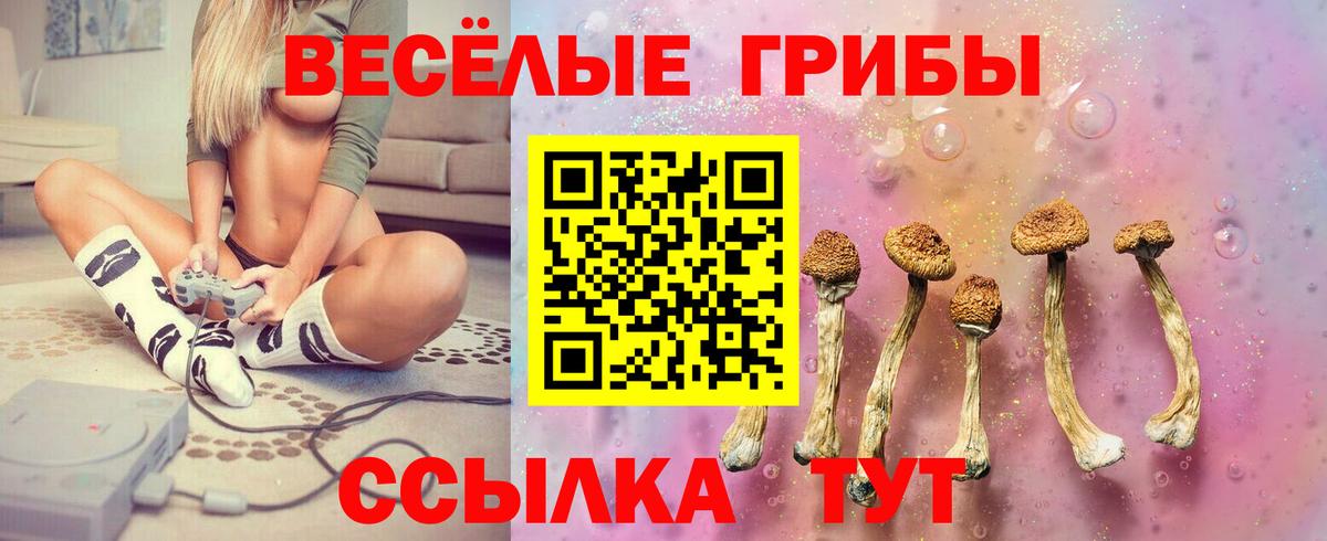 Галлюциногенные грибы GOLDEN TEACHER Чапаевск