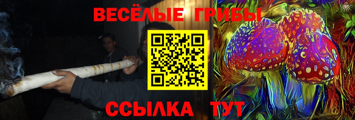 Галлюциногенные грибы MAGIC MUSHROOMS  Вход с VPN  Чапаевск 